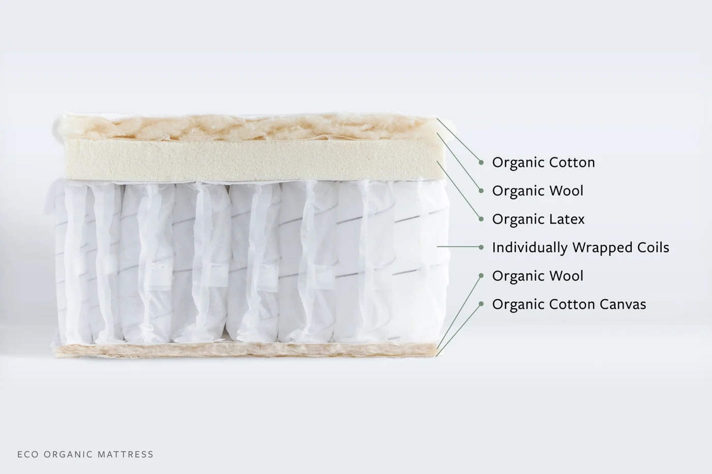 Official Avocado Eco Organic Mattress cutaway identifying organic cotton, wool, latex, and individually wrapped coils
