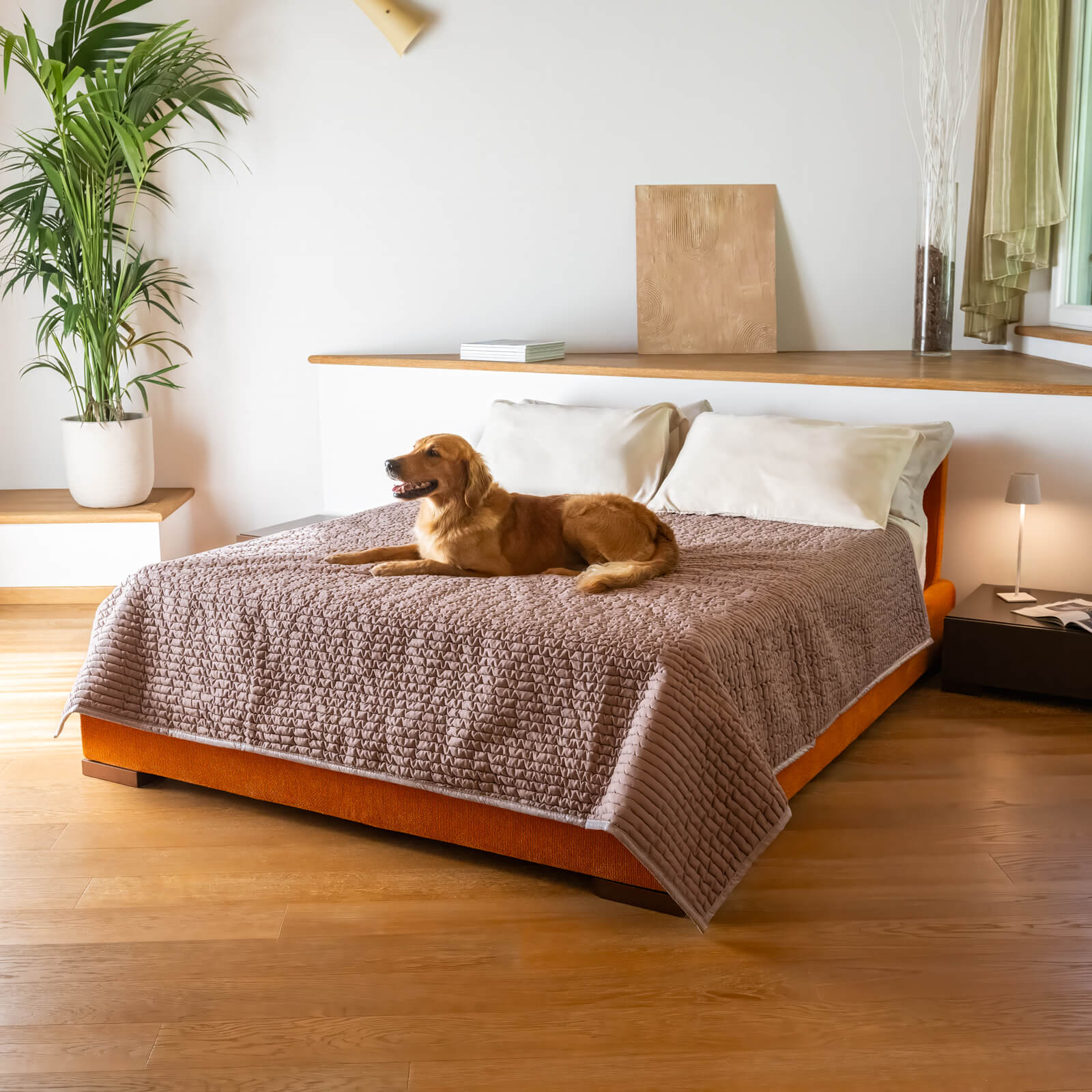 Mamma Mia Covers Waterproof Bed Blanket spread across a bed