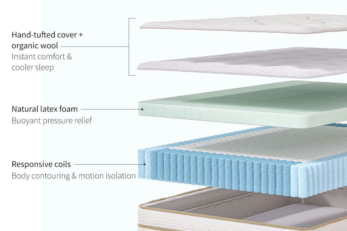Official Saatva Latex Hybrid cutaway showing its cover, wool, natural latex, and responsive coil layers