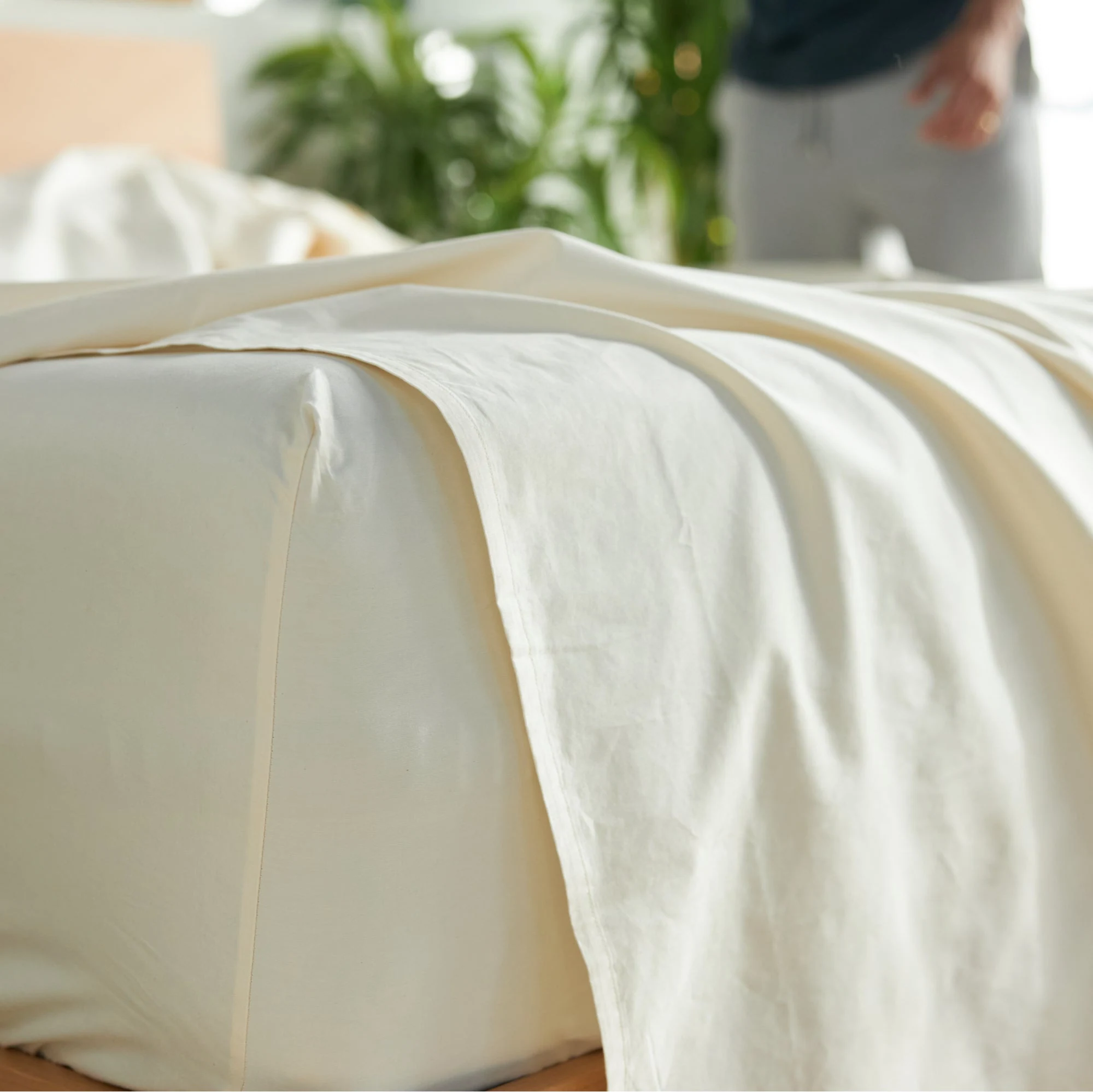 Avocado Percale Organic Cotton Sheets