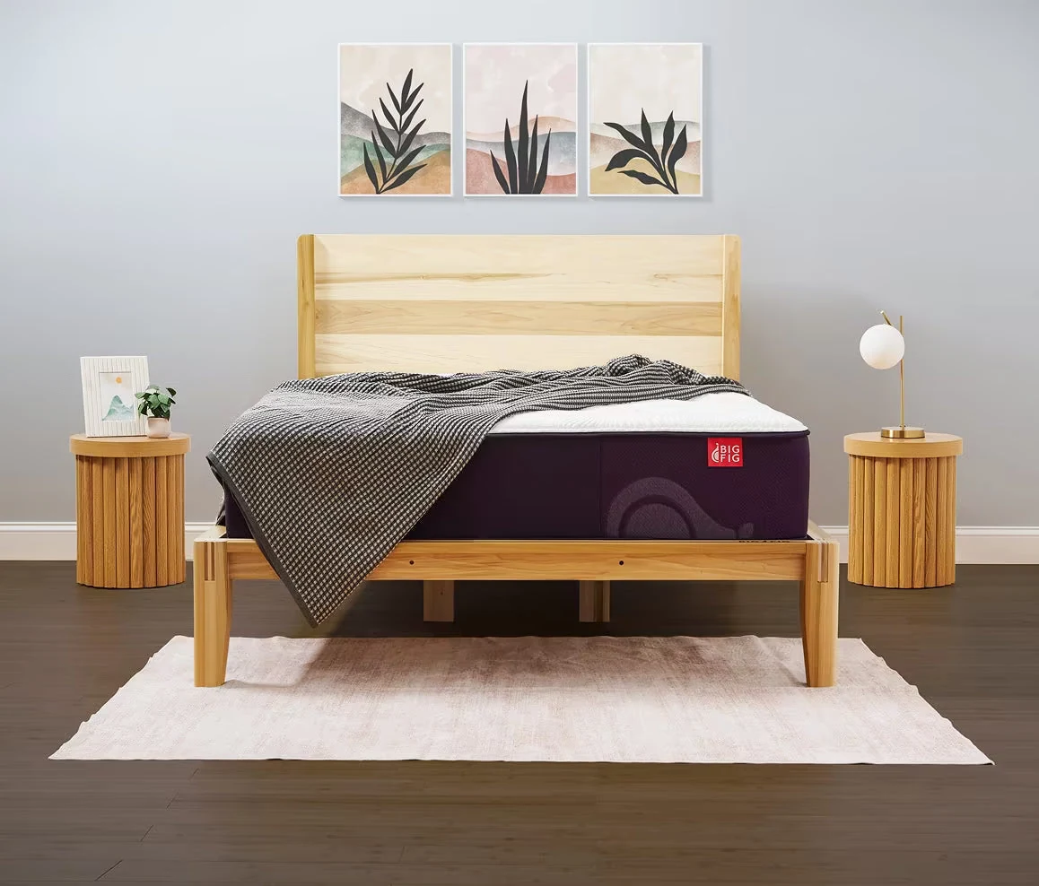 Big Fig Classic Mattress mattress